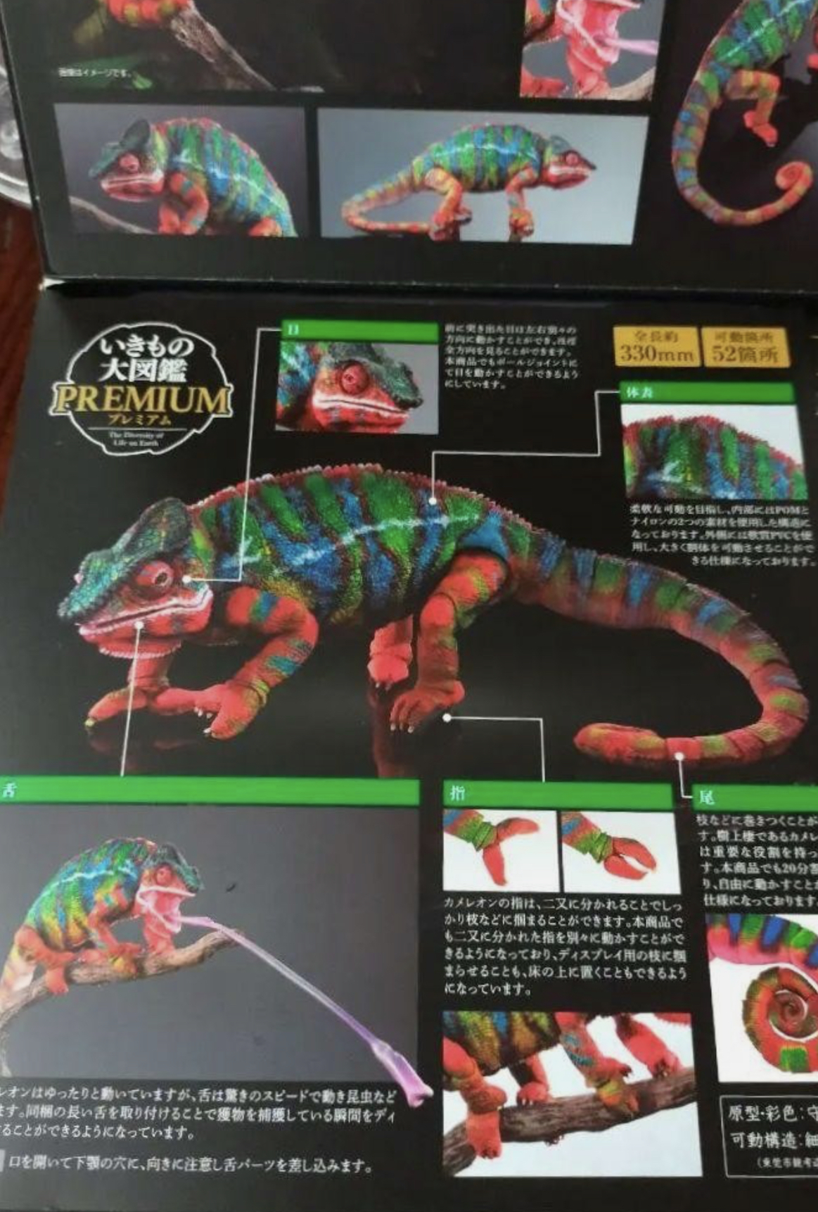 Have a Never Dying Not Eating Chameleon from Japan :: Chameleons